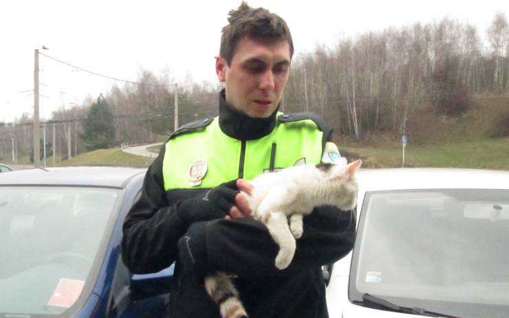 Zachráněná kočka. Foto: MP Chomutov