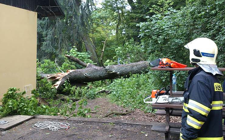 Hasiči zasahovali i spadlého stromu. Foto: Michal Hrdlička