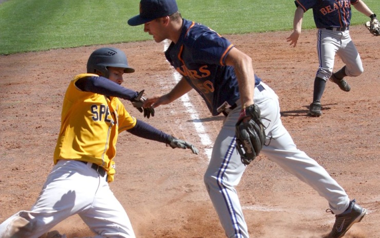 Ilustrační foto: Josef Griml beavers410