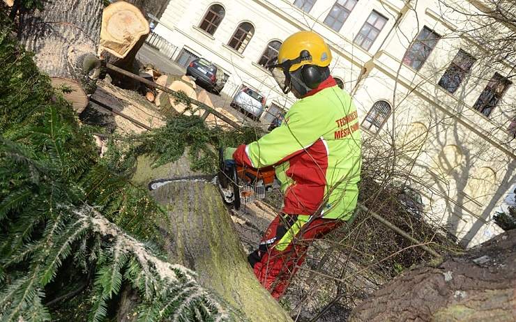 Úklid následků poslední vichřice. Foto: TS Chomutov