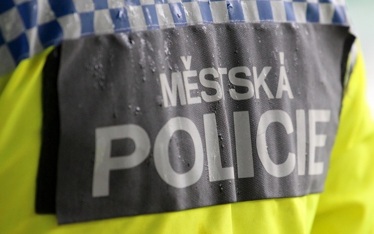 Ilustrační foto: Jan Vraný policie 304