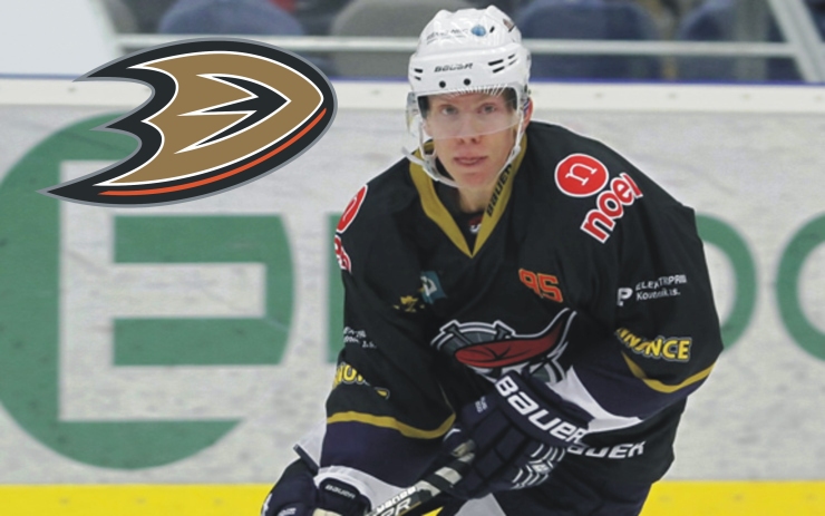 Foto: Piráti Chomutov kaše b 145