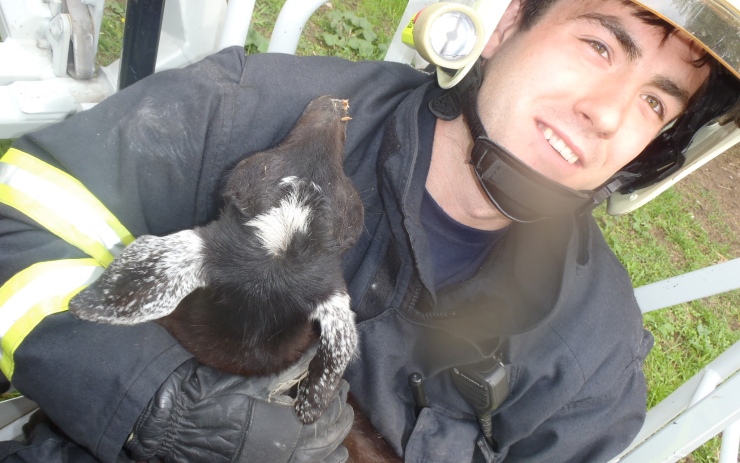 Foto včetně videa: Michal Hrdlička koza 1