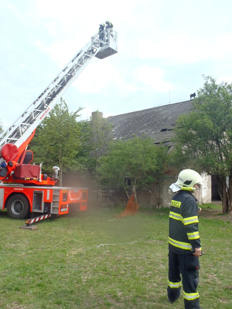 Foto včetně videa: Michal Hrdlička koza 3