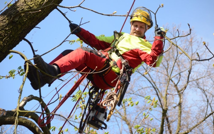 Foto: TsmCh stromolezec 95