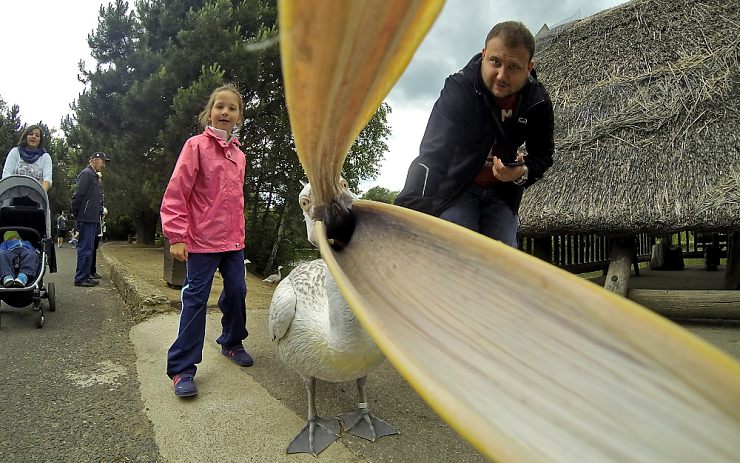 Podobný pohled se naskytne rybám v posledních chvílích jejich života. Foto: Oldřich Hájek