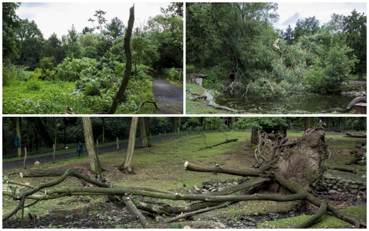 Polámané větve v zooparku. Foto: Martin Šopf Polámané větve v zooparku. Foto: Martin Šopf