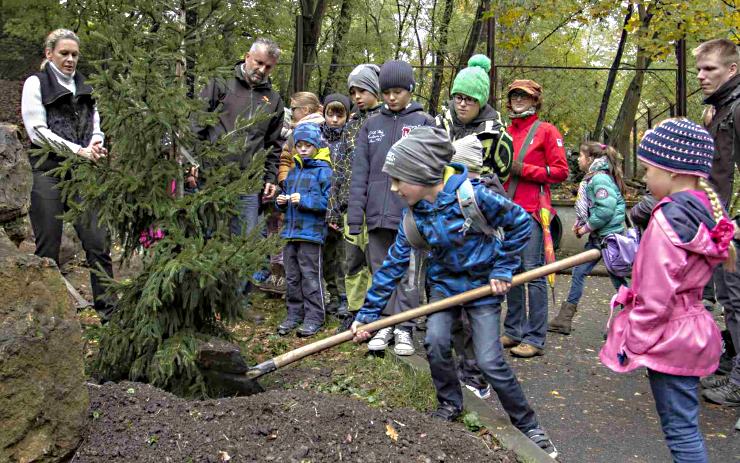 Se sázením stromů pomáhaly i děti. Foto: Podkrušnohorský zoopark