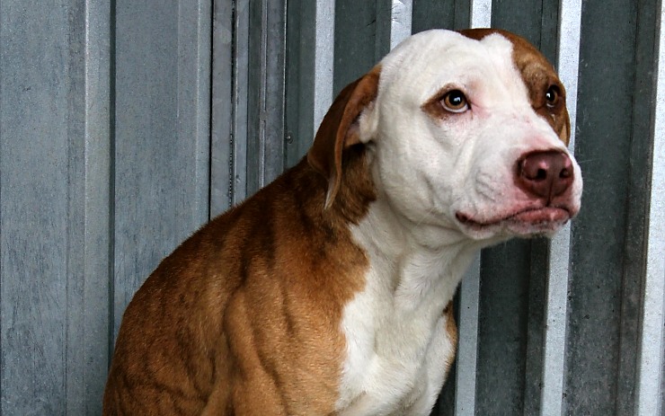 Ilustrační foto Ilustrační foto