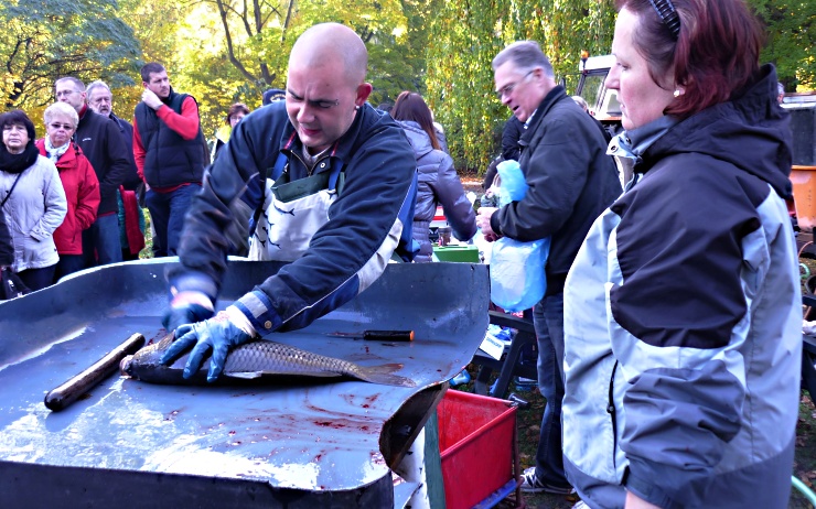 Rybáři své úlovky přímo na místě prodávali. Foto: Rybářství Škuta Rybáři své úlovky přímo na místě prodávali. Foto: Rybářství Škuta