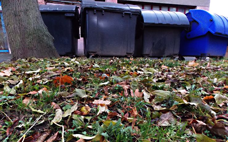 Ilustrační foto Ilustrační foto