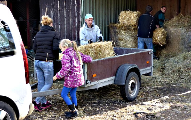 Foto:Zoopark Foto:Zoopark