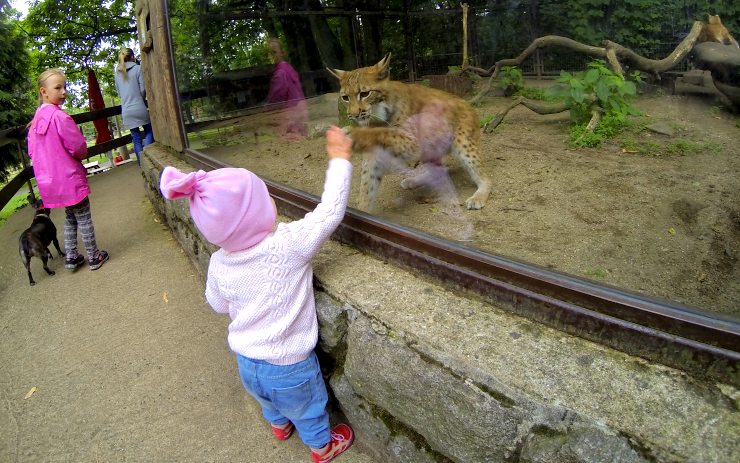 Zoopark v Chomutově. Foto: Oldřich Hájek Zoopark v Chomutově. Foto: Oldřich Hájek