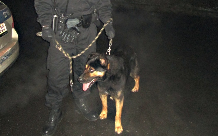 Foto: Měp Chomutov Foto: Měp Chomutov