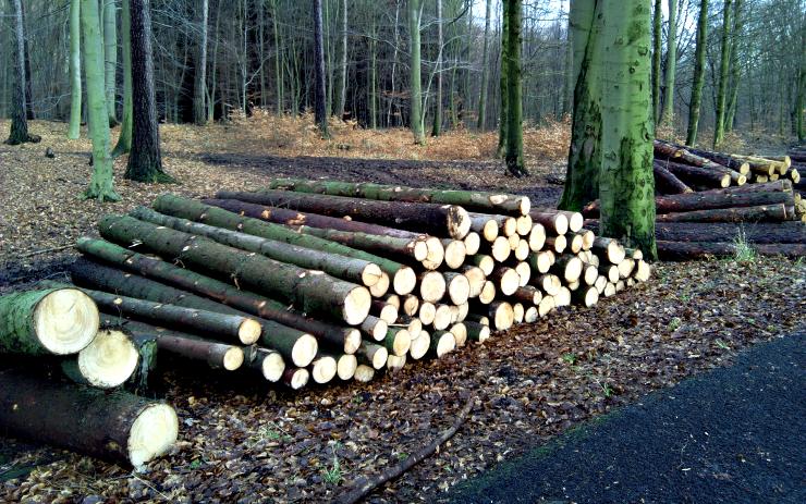 Ilustrační foto Ilustrační foto