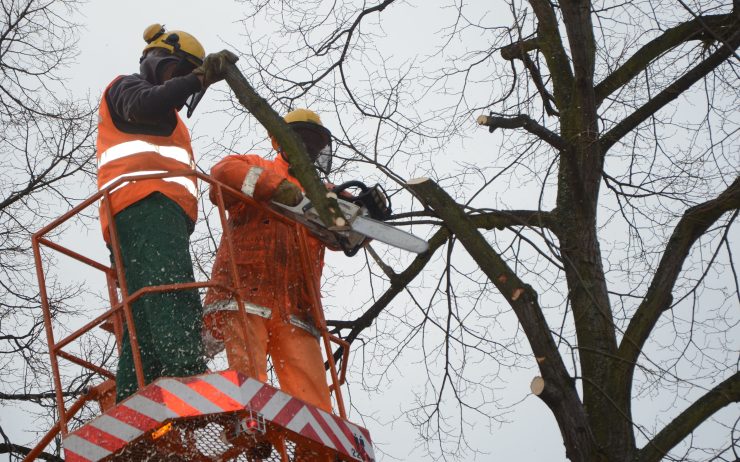 Ilustrační foto Ilustrační foto