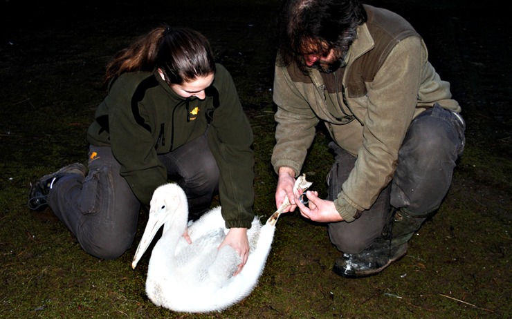 Foto:zoopark Foto:zoopark