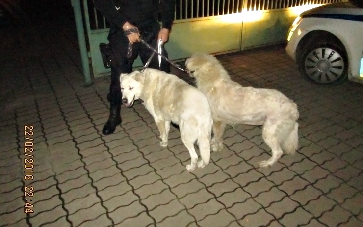 Foto: Měp Chomutov Foto: Měp Chomutov