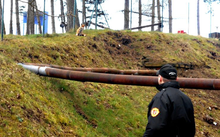 Liška u ústecké nemocnice. Foto: Měp Ústí nad Labem