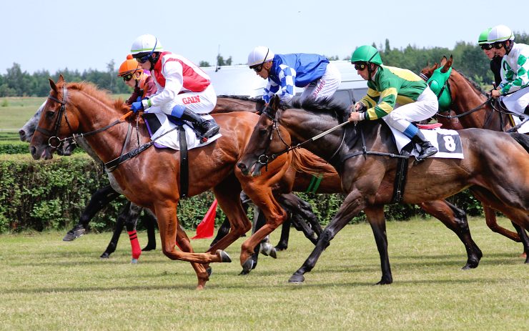 Na hipodromu v Mostě bude letošní první dostihový den. Foto: Oldřich Hájek Na hipodromu v Mostě bude letošní první dostihový den. Foto: Oldřich Hájek