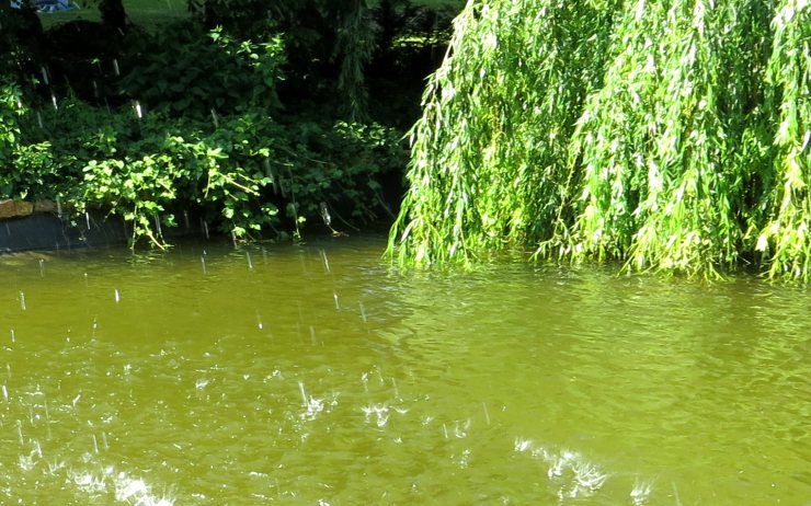 Ilustrační foto Ilustrační foto