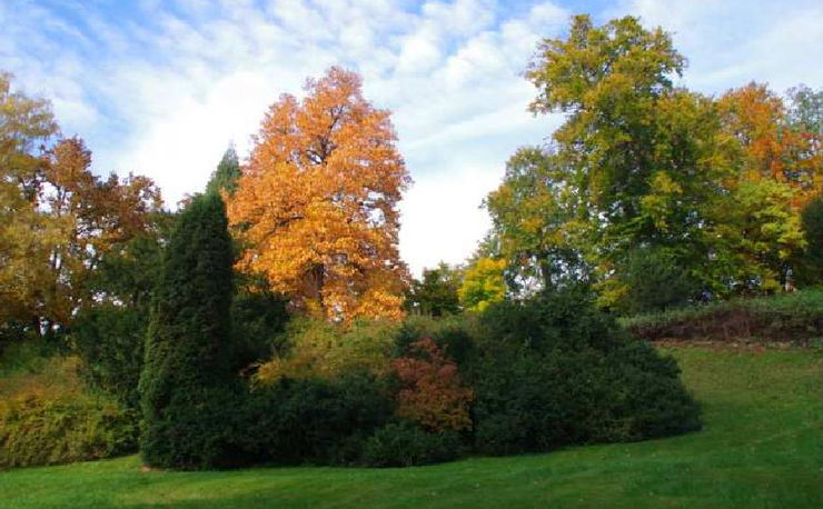 Zámecký park v Klášterci nad Ohří. Foto: městský úřad