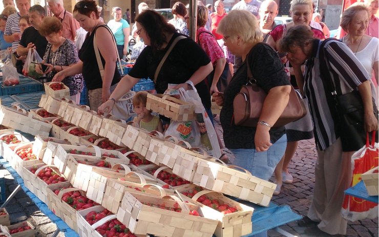 V Chomutově budou jahodové slavnosti! Foto: Severočeské farmářské trhy