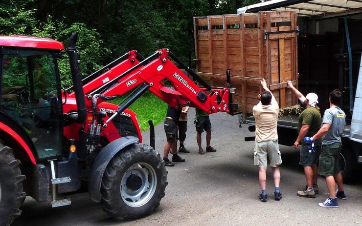 Transport dvouleté samice. Foto: Miroslav Brtnický/zoopark Transport dvouleté samice. Foto: Miroslav Brtnický/zoopark