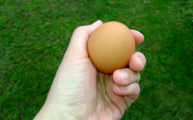 Ilustrační foto Ilustrační foto