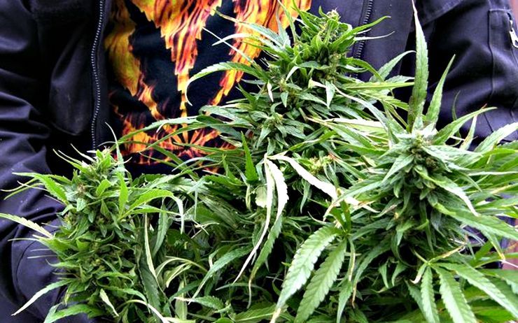 Ilustrační foto Ilustrační foto