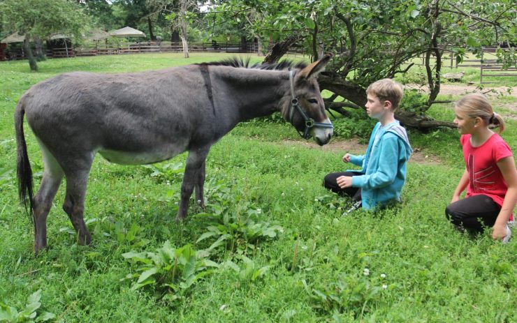 Děti na ekotáboře poznávají každý den jeden zvířecí druh. Foto:Martin Šopf  