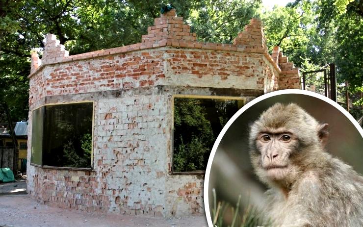 Expozice prochází renovací. Foto: Zoopark Chomutov