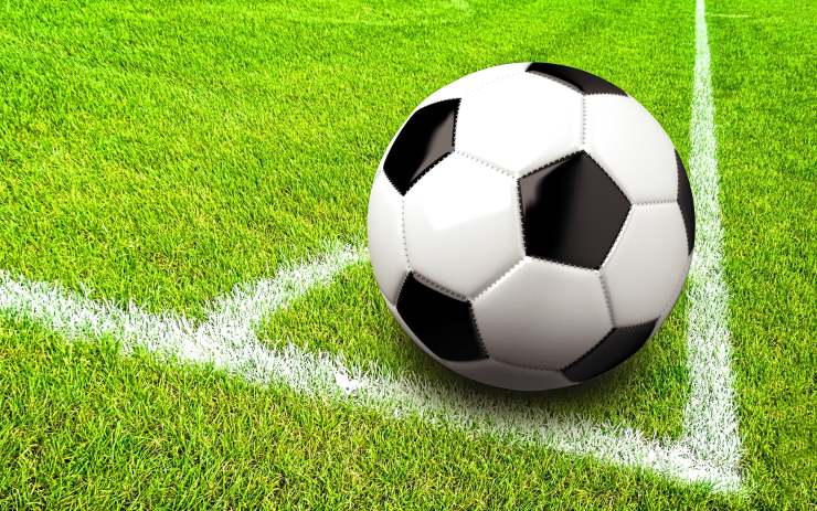 Ilustrační foto: Jack Moreh / freerangestock.com