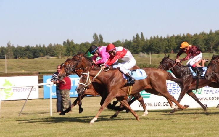 Dostih na mosteckém hipodromu. Ilustrační foto: Jan Vraný Dostih na mosteckém hipodromu. Ilustrační foto: Jan Vraný