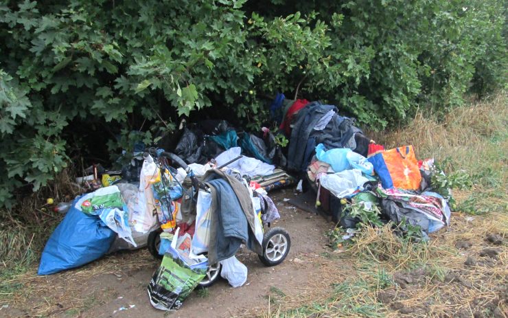 Haraburdí u křoví mělo svého hrdého majitele.  Foto: Měp Chomutov
