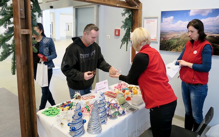 1312trhyelektrarnatusimice