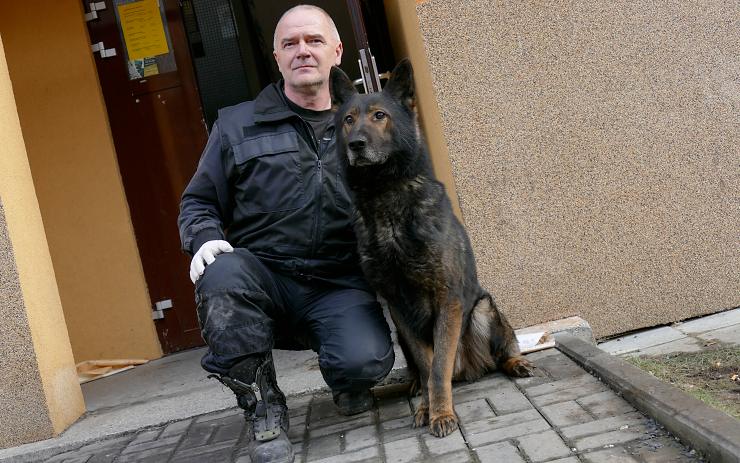 Policejní pes Xar speciálně vycvičený na vyhledávání těkavých látek. Foto: Oldřich Hájek