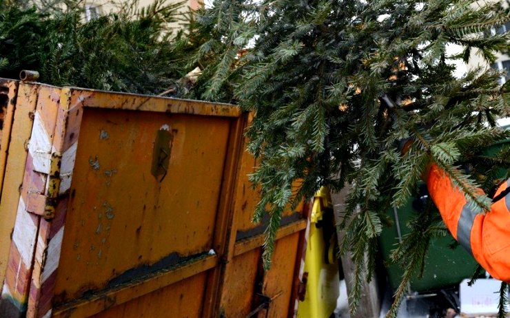 V Klášterci chystají mimořádné svozy vyhozených vánočních stromků
