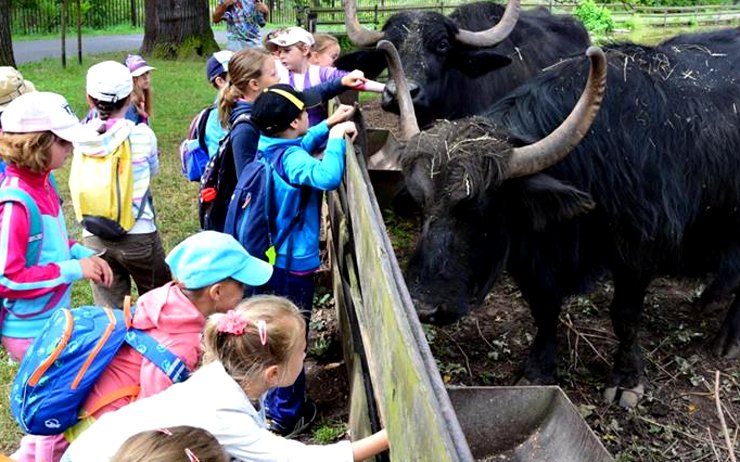 Kam s dětmi o jarních prázdninách? Zoopark i Aquasvět pořádají příměstské tábory