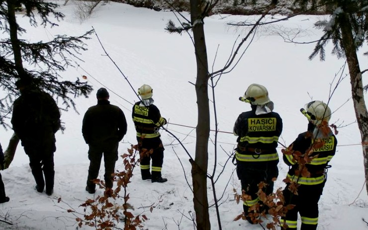 Hasiči tahali ze zatopeného lomu uhynulou srnu, přimrzla k ledu 