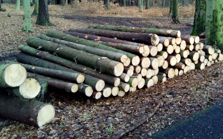 Kvůli loňské kalamitě mají jirkovští lesáci spoustu dřeva, nabízejí ho se slevou