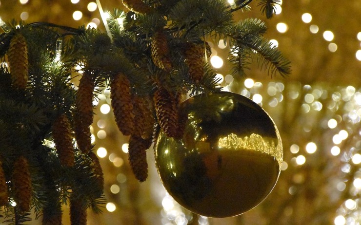 Kdy se rozsvítí vánoční strom? A budou letos adventní prohlídky na zámku? Známe termíny všech nej akcí v Jirkově do konce roku