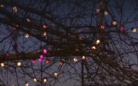 Vánoční překvapení. V centru Chomutova je kouzelný strom plný světelných kuliček, které reagují na hlas. Už jste ho našli?