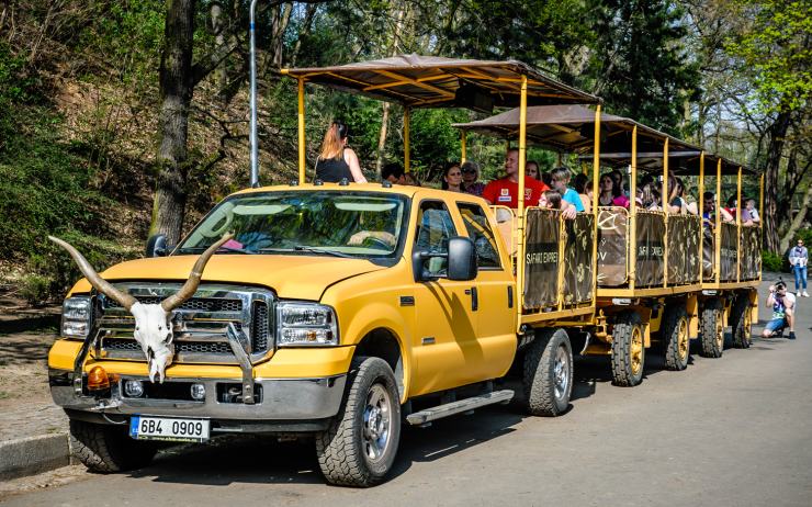 Vydejte se mezi jaky a muflony. Safari expres v zooparku zahájil sezonu