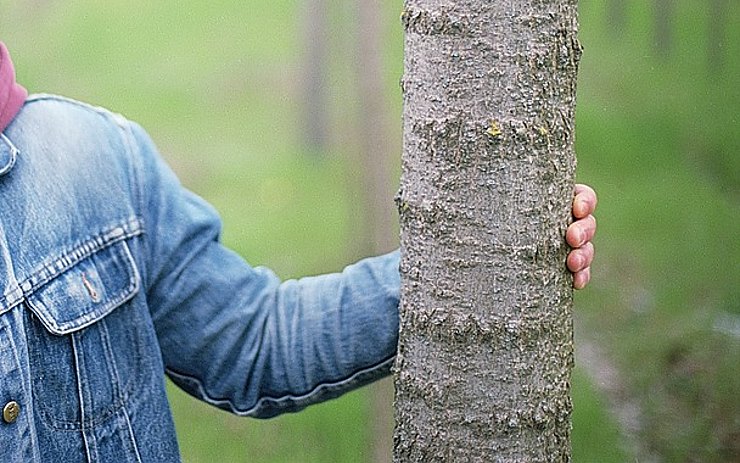 Ženu vyděsil na cyklostezce muž onanující u stromu. Dojeli si pro něj strážníci