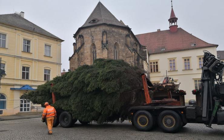 AKTUÁLNĚ VIDEO: Na chomutovské náměstí už dorazil vánoční strom! Rozsvítí se v neděli