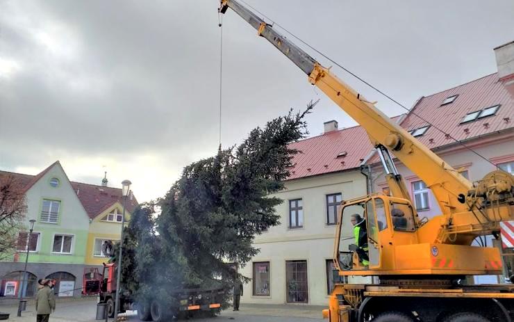 AKTUÁLNĚ OBRAZEM: V Jirkově už stojí vánoční strom. Je jím dvanáctimetrový smrček z městských lesů
