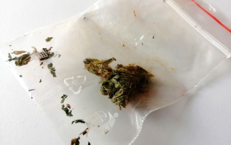 Muži (20) z Klášterce hrozí pět let za distribuci marihuany. Drogu měl i rozdávat zadarmo