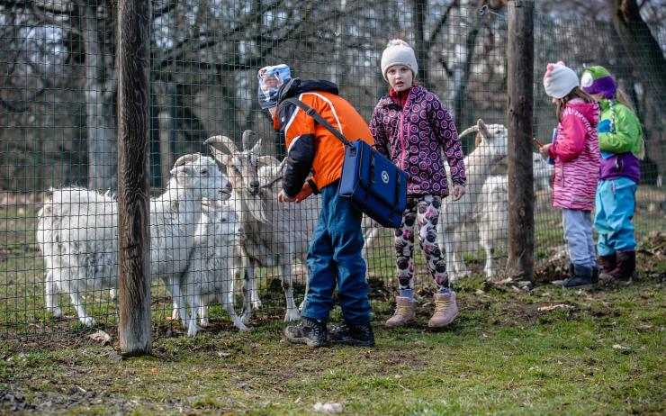 Kam s dětmi o jarních prázdninách? Zkuste příměstský tábor v zooparku