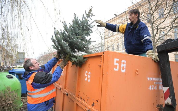 Technické služby odvezly z Chomutova čtrnáct tun vánočních stromků 